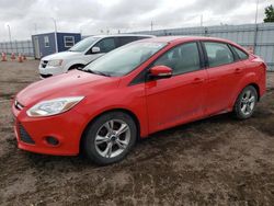 Ford Focus se Vehiculos salvage en venta: 2014 Ford Focus SE