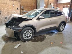 Ford salvage cars for sale: 2021 Ford Escape SE