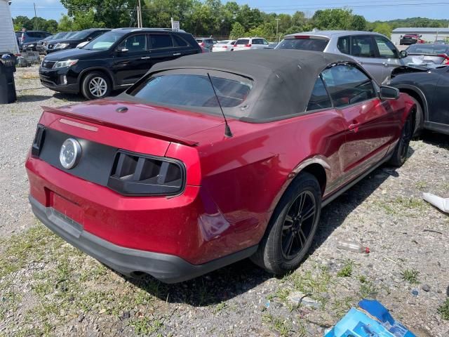 2010 Ford Mustang