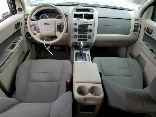 2010 Ford Escape Hybrid