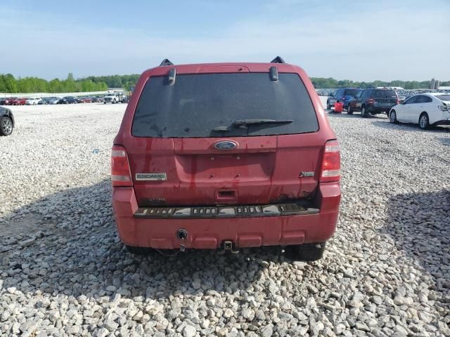 2011 Ford Escape XLT