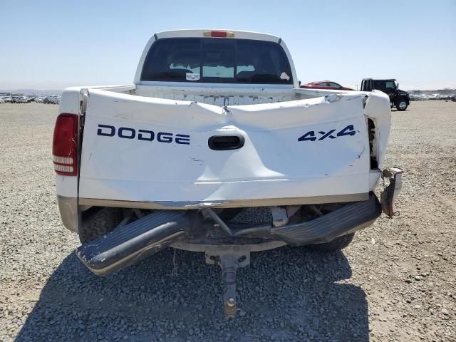 2000 Dodge Dakota Quattro