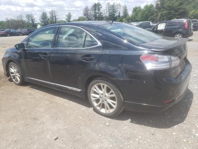 2010 Lexus HS 250H