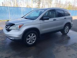 Salvage cars for sale from Copart Moncton, NB: 2010 Honda CR-V LX