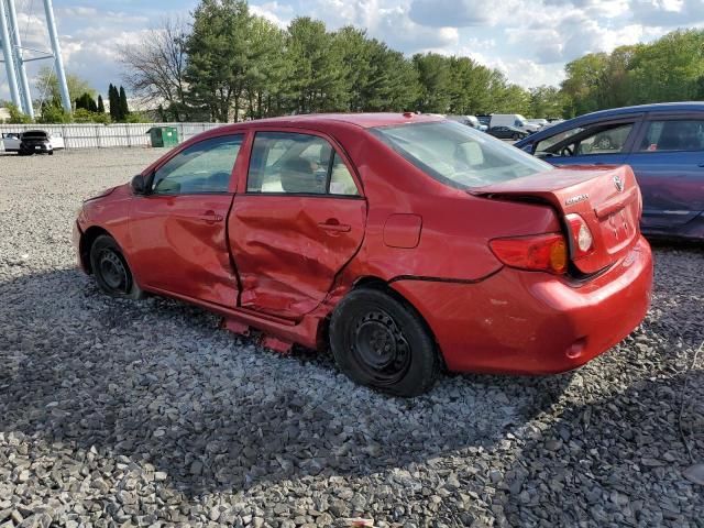 2010 Toyota Corolla Base