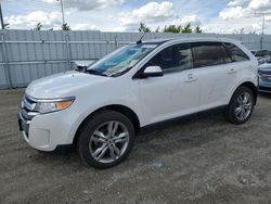 Ford salvage cars for sale: 2013 Ford Edge Limited