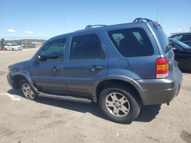 2005 Ford Escape XLT