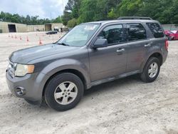 Salvage cars for sale from Copart Knightdale, NC: 2010 Ford Escape XLT