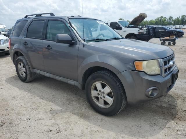 2009 Ford Escape XLT