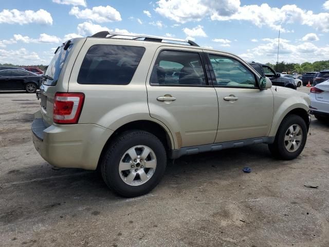 2011 Ford Escape Limited