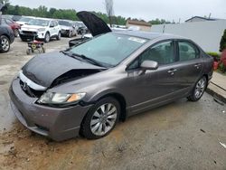 2009 Honda Civic EX for sale in Louisville, KY