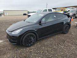 2021 Tesla Model Y en venta en Temple, TX