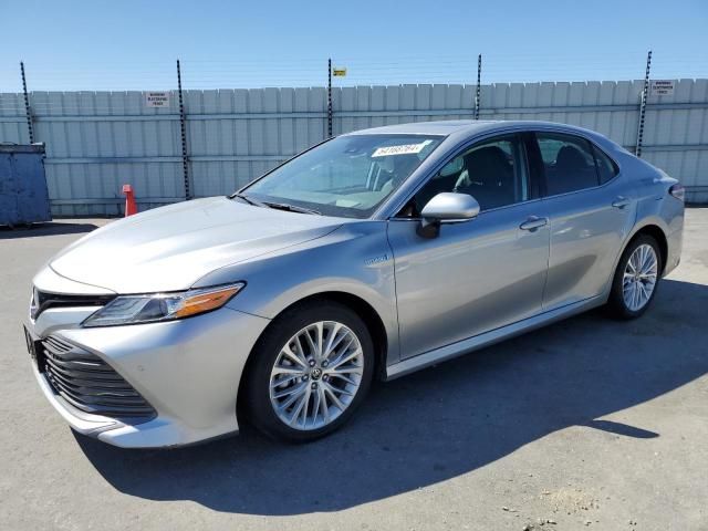 2020 Toyota Camry XLE