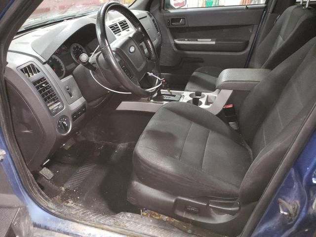 2009 Ford Escape XLT