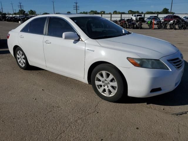 2009 Toyota Camry Hybrid