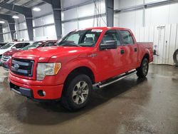 2014 Ford F150 Supercrew for sale in Ham Lake, MN