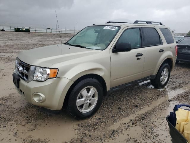 2012 Ford Escape XLT