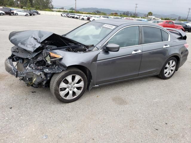 2010 Honda Accord EXL