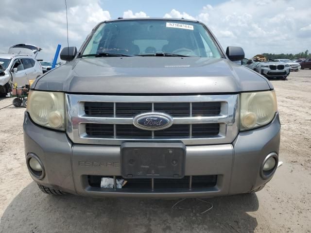 2009 Ford Escape XLT