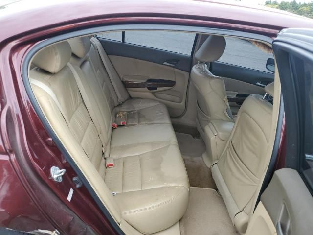 2008 Honda Accord EXL