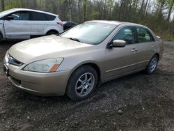 Honda Vehiculos salvage en venta: 2004 Honda Accord EX