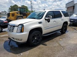 Cadillac salvage cars for sale: 2009 Cadillac Escalade