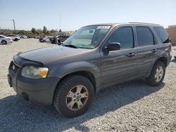 2006 Ford Escape XLT en venta en Mentone, CA