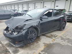 2022 Tesla Model Y en venta en Lawrenceburg, KY