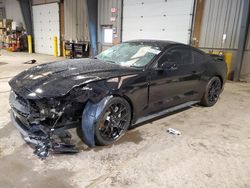 Salvage cars for sale from Copart West Mifflin, PA: 2019 Ford Mustang