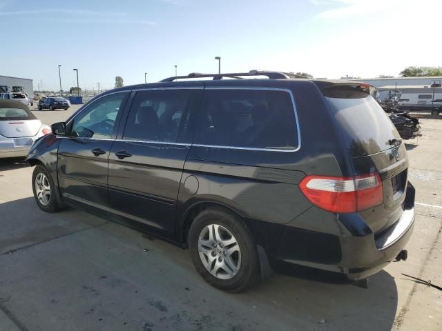 2005 Honda Odyssey EXL