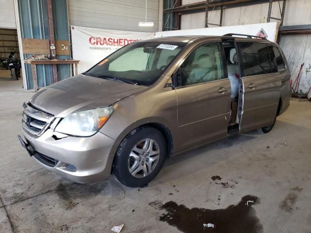 2005 Honda Odyssey EXL