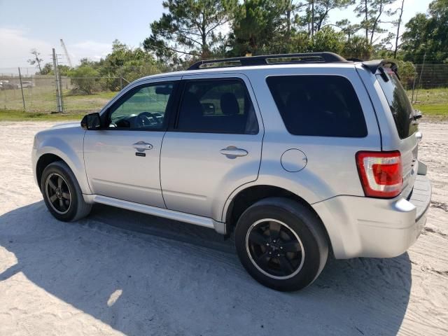 2011 Ford Escape XLT