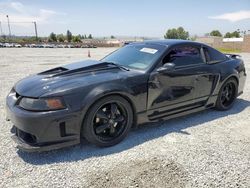 Ford Mustang salvage cars for sale: 2001 Ford Mustang Cobra SVT