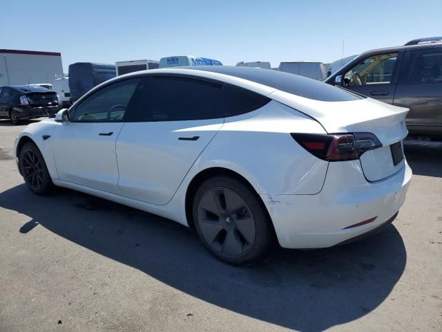 2021 Tesla Model 3