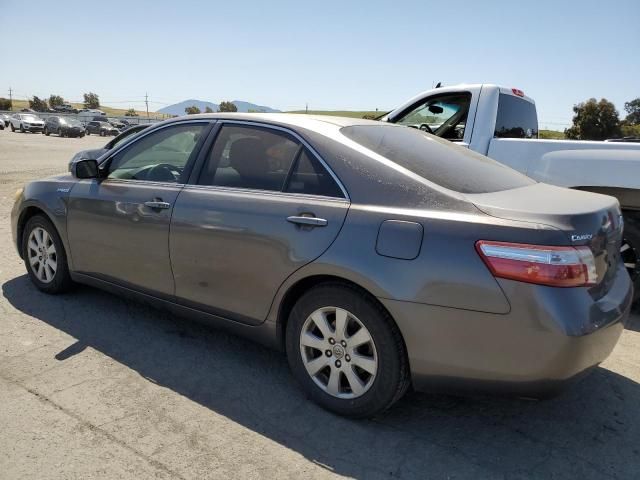 2008 Toyota Camry Hybrid