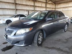 Toyota Corolla salvage cars for sale: 2009 Toyota Corolla Base