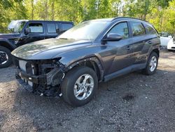 Hyundai Tucson sel salvage cars for sale: 2023 Hyundai Tucson SEL