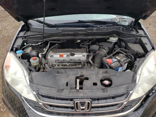 2010 Honda Cr-v exl