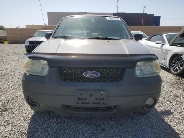 2006 Ford Escape XLT