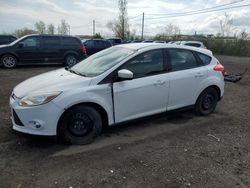 Ford Focus SE salvage cars for sale: 2012 Ford Focus SE