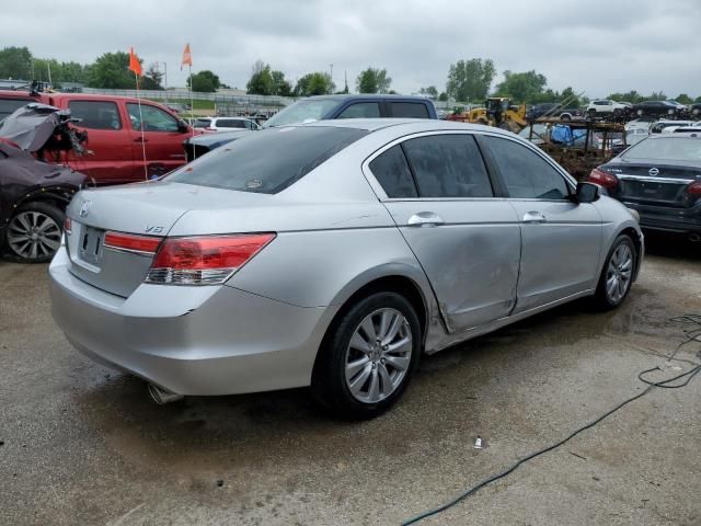 2011 Honda Accord EXL