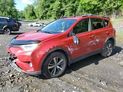 Toyota salvage cars for sale: 2017 Toyota Rav4 XLE