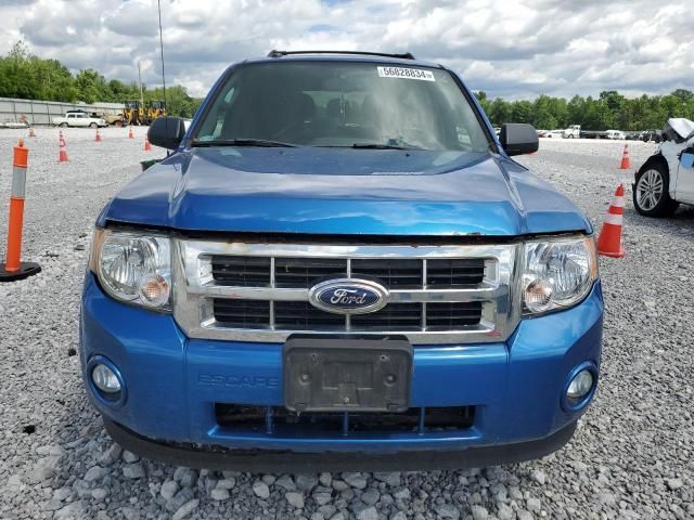 2012 Ford Escape XLT