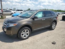 2011 Ford Edge SEL for sale in Indianapolis, IN