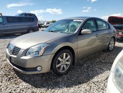 Nissan Vehiculos salvage en venta: 2006 Nissan Maxima SE