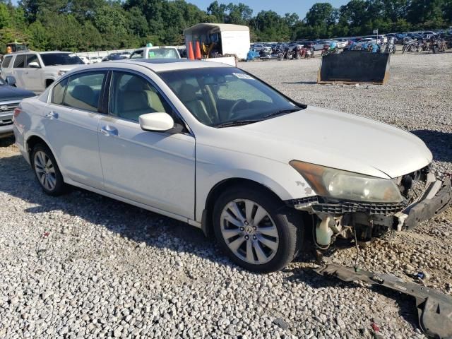 2011 Honda Accord EXL