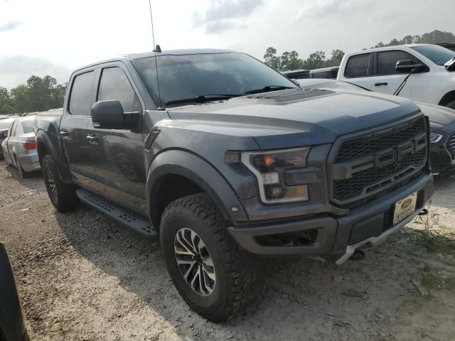 2019 Ford F150 Raptor