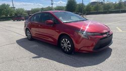 Salvage cars for sale from Copart Dyer, IN: 2021 Toyota Corolla LE