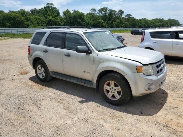 2009 Ford Escape Hybrid