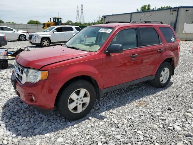 2011 Ford Escape XLT